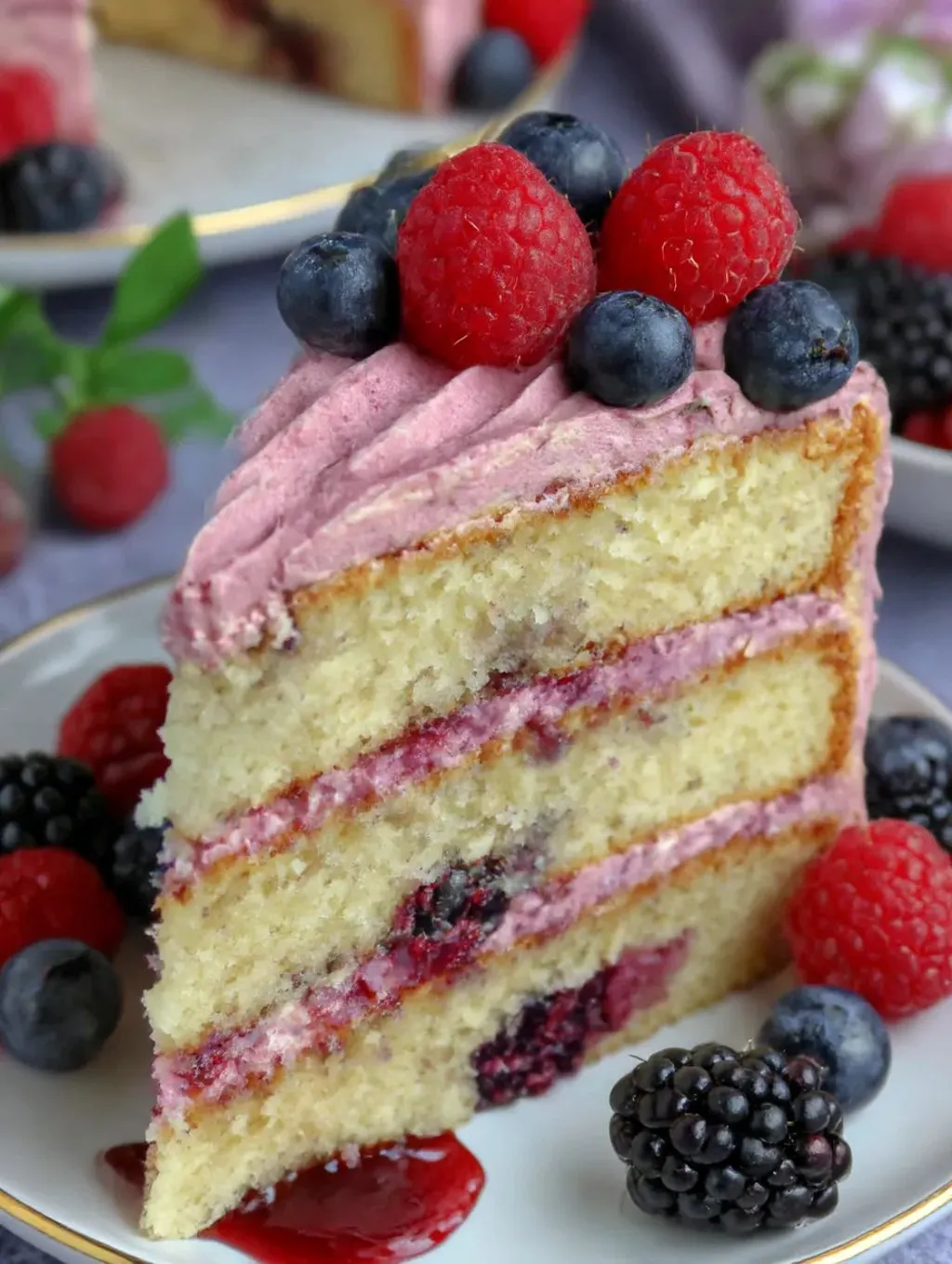 A slice of berry cake on a plate.